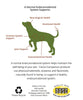 Canna Companion™ Hemp Supplement for Large Dogs - Extra Strength with Additional Neurological Support